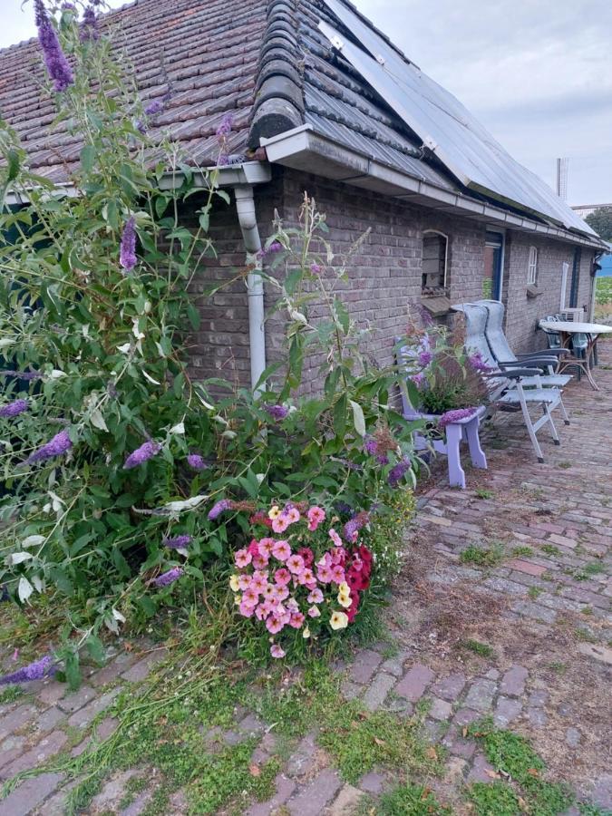 Logeerruimte In Gerenoveerde Boerderij In Wachtum Apartment ภายนอก รูปภาพ
