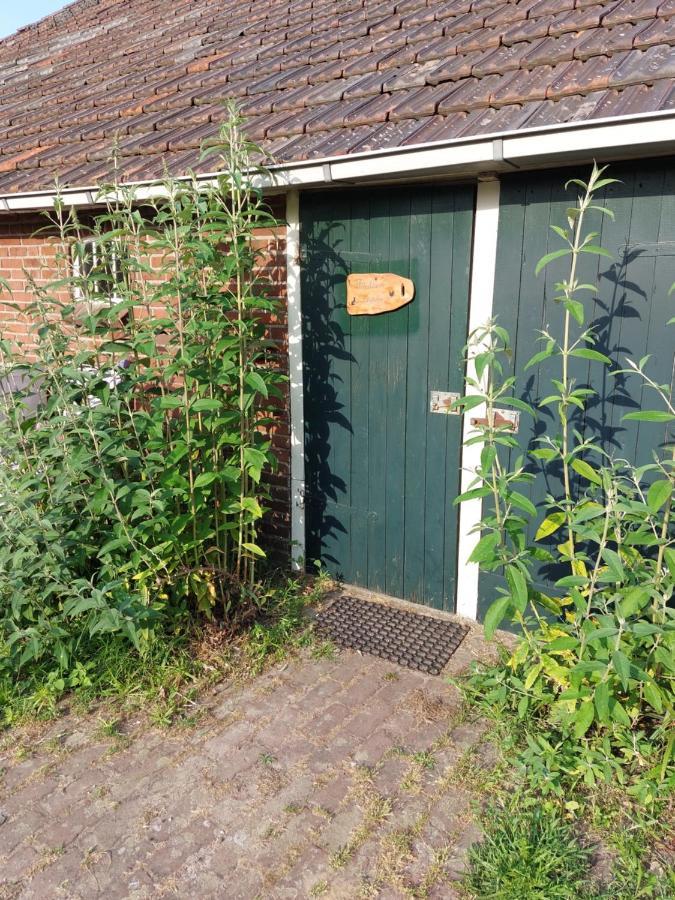 Logeerruimte In Gerenoveerde Boerderij In Wachtum Apartment ภายนอก รูปภาพ