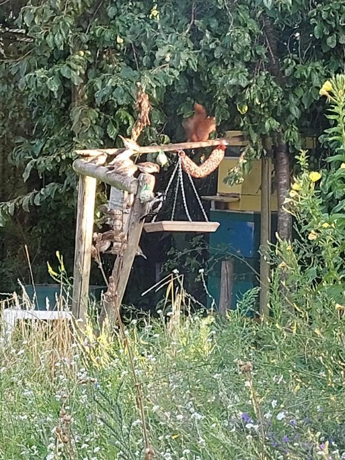 Logeerruimte In Gerenoveerde Boerderij In Wachtum Apartment ภายนอก รูปภาพ